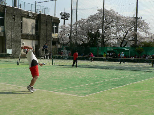 P1160103.JPG