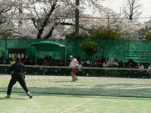 P1160105.JPG