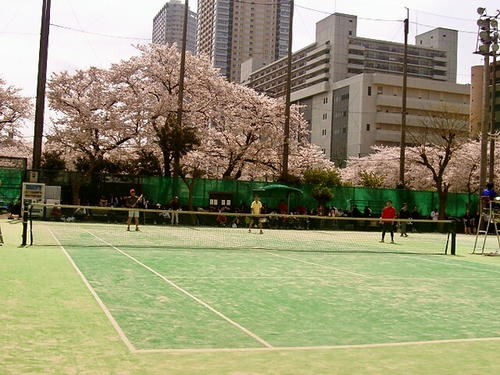 d0085767_8185338.jpg