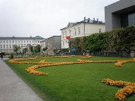 693d6015.jpg