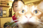 073710bbjpeg