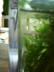 P1000139.JPG