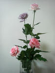P1000143.JPG