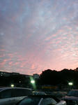 P1000283.JPG