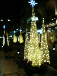 P1000288.JPG