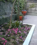 P1000338.JPG