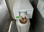 PA050051.JPG