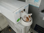 PA050052.JPG