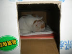 PA050055.JPG