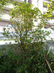 P1000040.jpg
