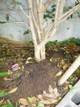 P1000042.jpg