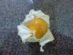 P1000054.jpg