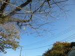 P1000070.jpg