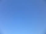 P1000071.jpg