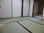 P1000073.jpg