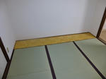P1000076.jpg