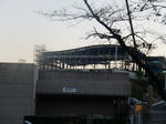P1000079.jpg