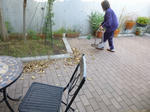 P1000082.jpg