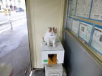 P1000085.jpg