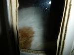 P1000090.jpg