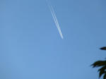 P1000094.jpg