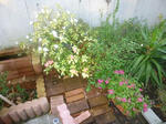 P1000120.jpg