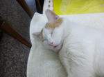 P1000126.jpg