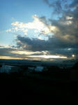 P1000390.jpg