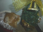 P1000231.JPG