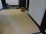 P1000276.jpg