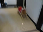 P1000277.jpg