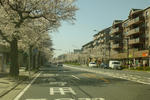 P1000364.jpg