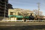 P1000365.jpg