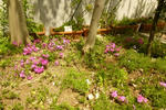 P1000416.jpg
