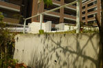 P1000421.jpg