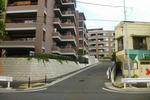P1000524.jpg