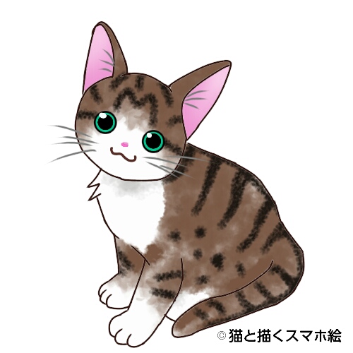 猫のイラスト完成