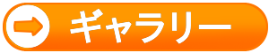 猫と描くスマホ絵ギャラリー