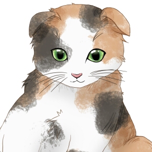 メディバンペイントで猫を描く