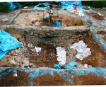 19e1832c.jpg