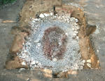 07ffd975.jpg