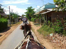49a8dcb6.jpg