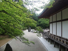 DSCF1995.jpg