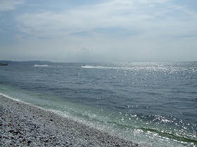 DSCF2213.jpg