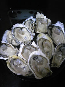 091124_2112291.jpg