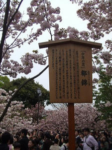 DSCF1446.jpg