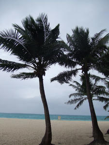 DSCF2982.jpg