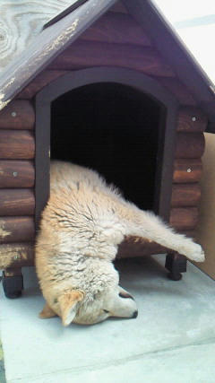 201105211310000.jpg