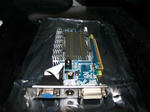 3450-4.jpg