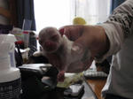 PB100066.JPG